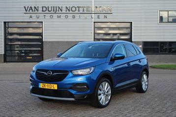 Opel Grandland X 1.2 Turbo Business Executive / Carplay / Tr beschikbaar voor biedingen