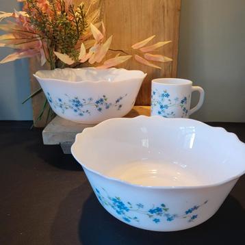 Arcopal Veronica Schalen & Mok vintage  beschikbaar voor biedingen