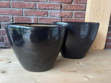 Bloempot zwart beschikbaar voor biedingen
