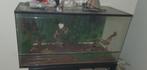 Terrarium, Dieren en Toebehoren, Reptielen en Amfibieën | Toebehoren, Ophalen, Gebruikt, Terrarium of Paludarium