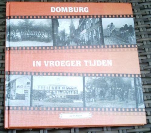 Domburg in vroeger tijden. Jacky Nijsen. ISBN 9055340677., Boeken, Geschiedenis | Stad en Regio, Zo goed als nieuw, 20e eeuw of later