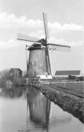 (304-013-017) Schipluiden Groeneveldsche polder voorjaar 197 beschikbaar voor biedingen