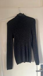 Dames coltruitje Xl zwart met zilveren glitters, Zwart, Maat 46/48 (XL) of groter, Nieuw, Ophalen of Verzenden