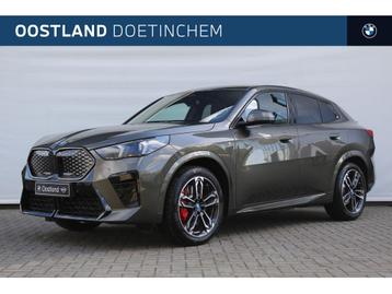 BMW iX2 eDrive20 M Sport / Sportstoelen / Adaptieve LED / M  beschikbaar voor biedingen