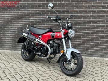 HONDA ST 125 DAX ST125 Dax125 beschikbaar voor biedingen