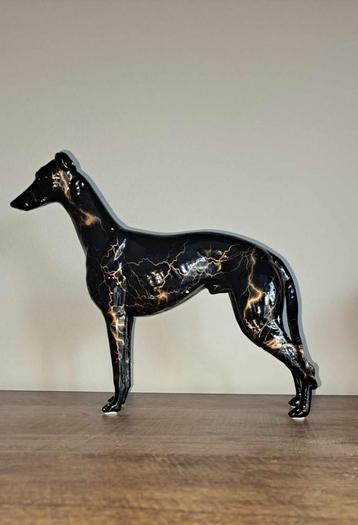 whippet windhond hazewindhond zwart beeld  beschikbaar voor biedingen