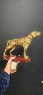 Super mooie beeld van hond , retriever of pointer, India, Verzamelen, Beelden en Beeldjes, Ophalen of Verzenden, Nieuw, Dier