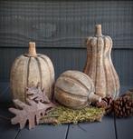 Set van drie bruine houten pompoenen., Huis en Inrichting, Woonaccessoires | Overige, Ophalen of Verzenden, Nieuw