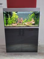 Compleet Aquarium met meubel. (Incl. beplanting en vissen), Dieren en Toebehoren, Vissen | Aquaria en Toebehoren, Ophalen, Gebruikt