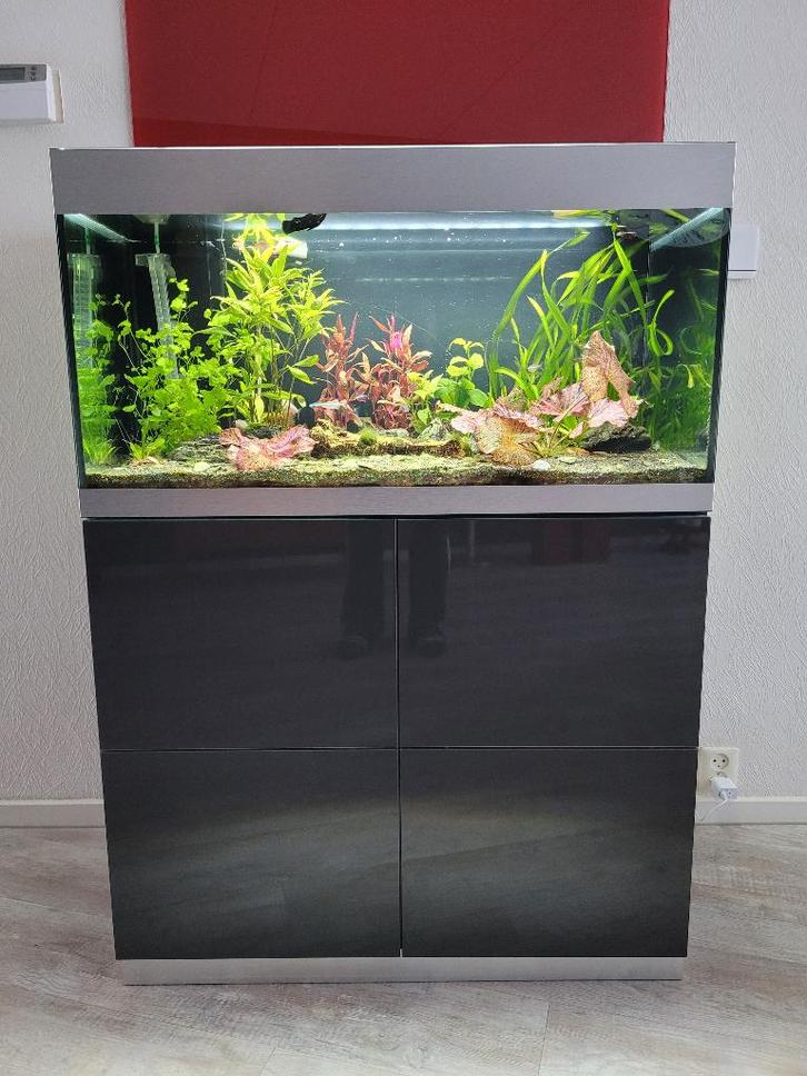 Compleet Aquarium met meubel. (Incl. beplanting en vissen), Dieren en Toebehoren, Vissen | Aquaria en Toebehoren, Gebruikt, Gevuld zoetwateraquarium