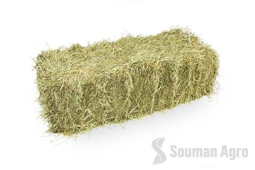 Kleine balen paarden hooi!, Dieren en Toebehoren, Stalling en Weidegang, Stalling