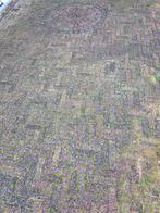 Gratis op te halen: 30m2 klinkers voor tuinbestrating, Tuin en Terras, Ophalen of Verzenden