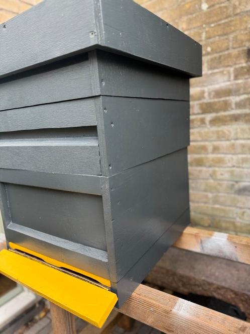 Bijenkast spaarkast, Dieren en Toebehoren, Insecten en Spinnen, Bijen