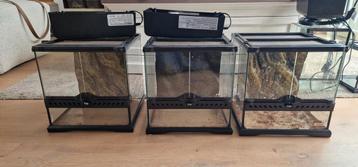 3x exo terra terrarium 30x30x30 beschikbaar voor biedingen