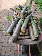 Brandhout /haardhout, Tuin en Terras, Haardhout, Minder dan 3 m³, Ophalen, Overige houtsoorten, Takken