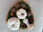 Haal de herfst in huis, Ophalen of Verzenden, Nieuw, Haken, Wol of Garen