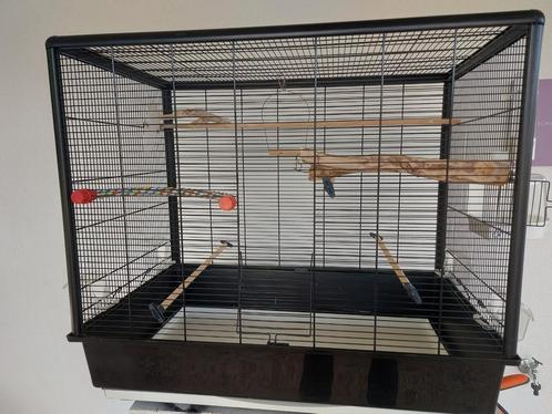 Grote kooi / volière, Dieren en Toebehoren, Vogels | Hokken en Kooien, Zo goed als nieuw, Vogelkooi, Metaal, Ophalen