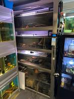 Aquariunsteling voor L nr met groep, Ophalen of Verzenden, Zo goed als nieuw, Verlichting of Verwarming