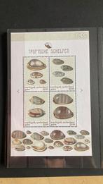 Cataibisch Nederland Saba schelpen/2362, Postzegels en Munten, Ophalen of Verzenden