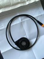 Trapsensor Fatbike - Gloednieuw, Ophalen of Verzenden, Nieuw, Algemeen, Overige typen