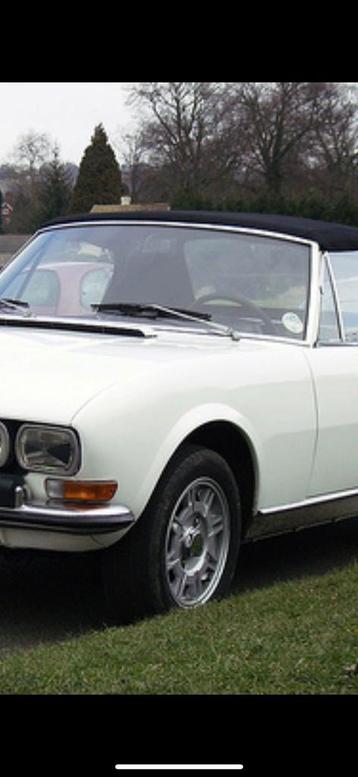 Peugeot 404 en 504 cabrio (309 405 205 gti) T16 Mi16 gezocht beschikbaar voor biedingen