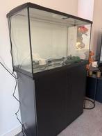 Eheim Aquarium 80x35x45 ( bieden vanaf: €100,- ), Ophalen, Zo goed als nieuw, Leeg aquarium