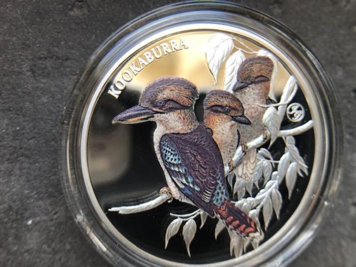 2025 Niue - John Gould Kookaburra - 1 oz proof color silver, Postzegels en Munten, Munten | Oceanië, Losse munt, Zilver, Ophalen of Verzenden