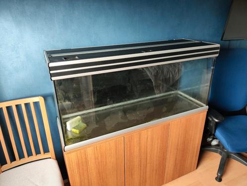 Aquarium aquatlantis 240 liter 120 cm, Dieren en Toebehoren, Vissen | Aquaria en Toebehoren, Gebruikt, Leeg aquarium, Ophalen