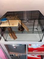 Hamsterkooi, Dieren en Toebehoren, Knaagdieren en Konijnen | Hokken en Kooien, Minder dan 60 cm, Kooi, Minder dan 75 cm, Ophalen of Verzenden