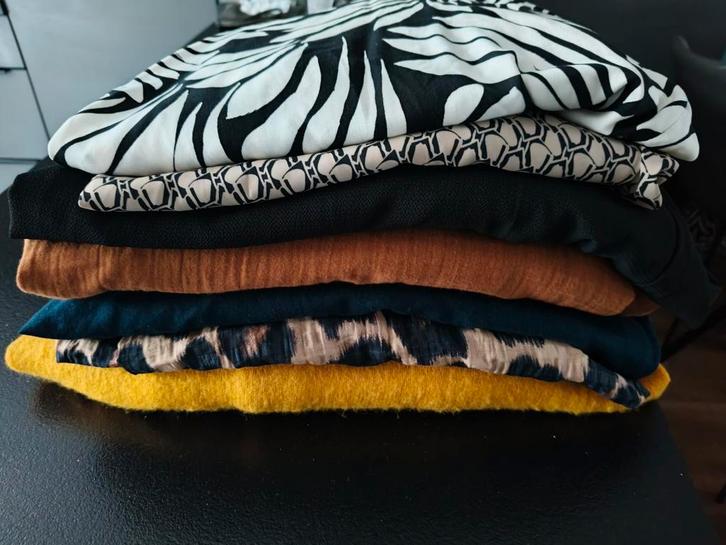 Grote maat pakket, Kleding | Dames, Grote Maten, Zo goed als nieuw, Blouse of Tuniek, Ophalen of Verzenden