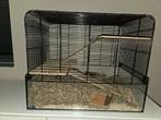 Hamsterkooi, Dieren en Toebehoren, Knaagdieren en Konijnen | Hokken en Kooien, Minder dan 60 cm, Kooi, Gebruikt, Minder dan 75 cm