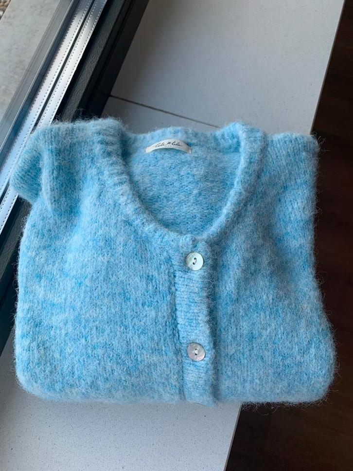 Lili & Lala super zacht lichtblauw vest - One Size, Kleding | Dames, Truien en Vesten, Zo goed als nieuw, Maat 38/40 (M), Blauw