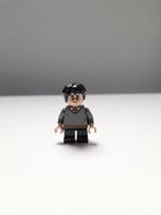 Lego Harry Potter - hp150, Kinderen en Baby's, Speelgoed | Duplo en Lego, Ophalen of Verzenden, Zo goed als nieuw