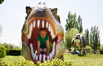 8 kaartjes Dino Experience park €4,00 p.k beschikbaar voor biedingen