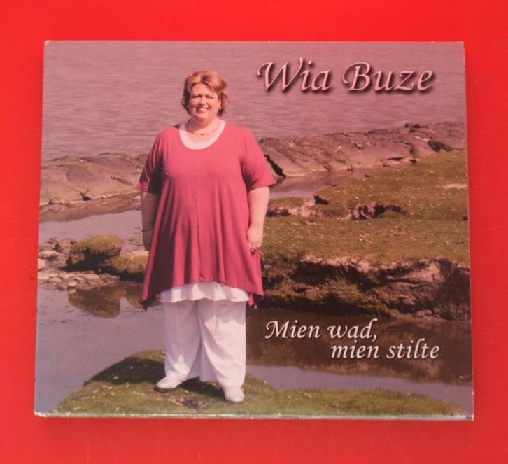 cd Wia Buze Mien wad, mien stilte uit 2009 Gronings, Cd's en Dvd's, Cd's | Nederlandstalig, Streekmuziek, Boxset, Ophalen of Verzenden