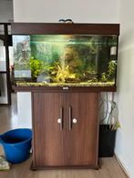 Aquarium Juwel 125 incl. vissen en toebehoren, Dieren en Toebehoren, Vissen | Aquaria en Toebehoren, Ophalen, Zo goed als nieuw
