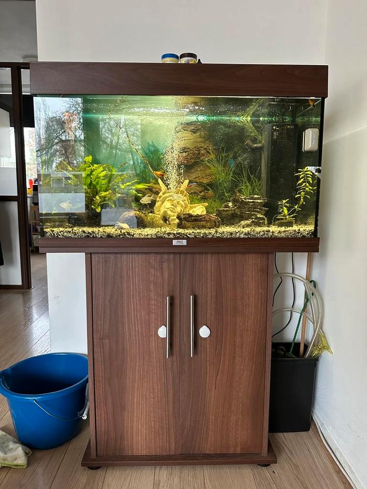 Aquarium Juwel 125 incl. vissen en toebehoren, Dieren en Toebehoren, Vissen | Aquaria en Toebehoren, Zo goed als nieuw, Gevuld zoetwateraquarium