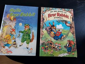 2 x grote Brer Rabbit boeken beschikbaar voor biedingen