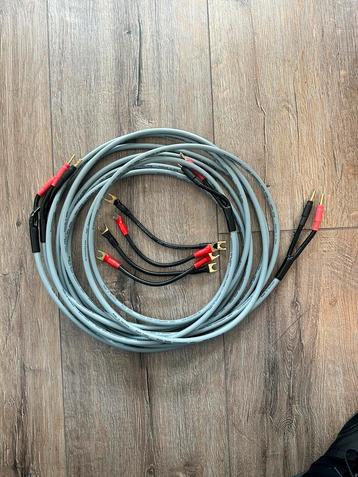 Black cable Rhein 2x4m luidspreker kabel incl bruggetjes  beschikbaar voor biedingen