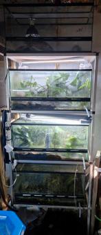 Alliminium terrarium stelling 4x terrarium met led, Ophalen, Gebruikt, Terrarium of Paludarium