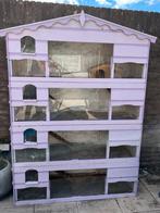 Grote cavia flat 4 verdiepingen, Dieren en Toebehoren, Ophalen, Hok, 110 cm of meer, Gebruikt