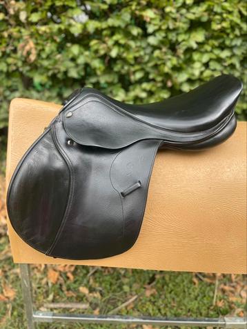 Prachtig Seabis springzadel  (passervice gratis) beschikbaar voor biedingen