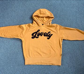 Vingino hoodie Maat 164 beschikbaar voor biedingen