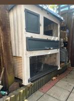 Te Koop konijnen Hokken, Ophalen of Verzenden, Kooi, Minder dan 60 cm