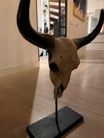 Schedel op standaard - decoratief accessoire, Huis en Inrichting, Woonaccessoires | Overige, Ophalen of Verzenden, Zo goed als nieuw