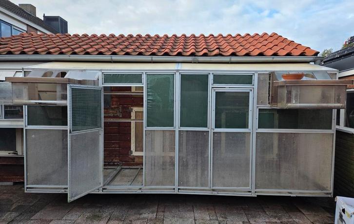 Te koop 2 postduiven rennen, Dieren en Toebehoren, Vogels | Duiven, Postduif, Meerdere dieren