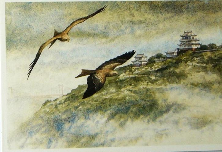 Erik van Ommen Zwarte wouw buizerd kaarten kaart Eric, Verzamelen, Ansichtkaarten | Themakaarten, Ongelopen, 1980 tot heden, Natuur