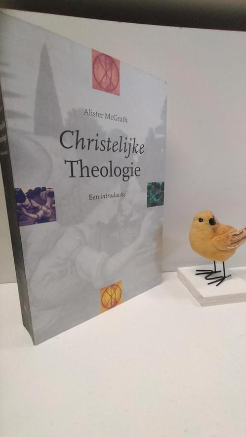 McGrath, Alister; Christelijke Theologie, Boeken, Godsdienst en Theologie, Gelezen, Christendom | Protestants, Ophalen of Verzenden