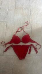 Mooie rode bikini maat 40 / cup D Nieuwstaat, Bluepoint, Ophalen of Verzenden, Zo goed als nieuw, Bikini
