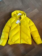 Dons (ski) jack tommy Hilfiger S, Geel, Ophalen of Verzenden, Zo goed als nieuw, Maat 36 (S)